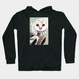 I'm a Hoot! Hoodie